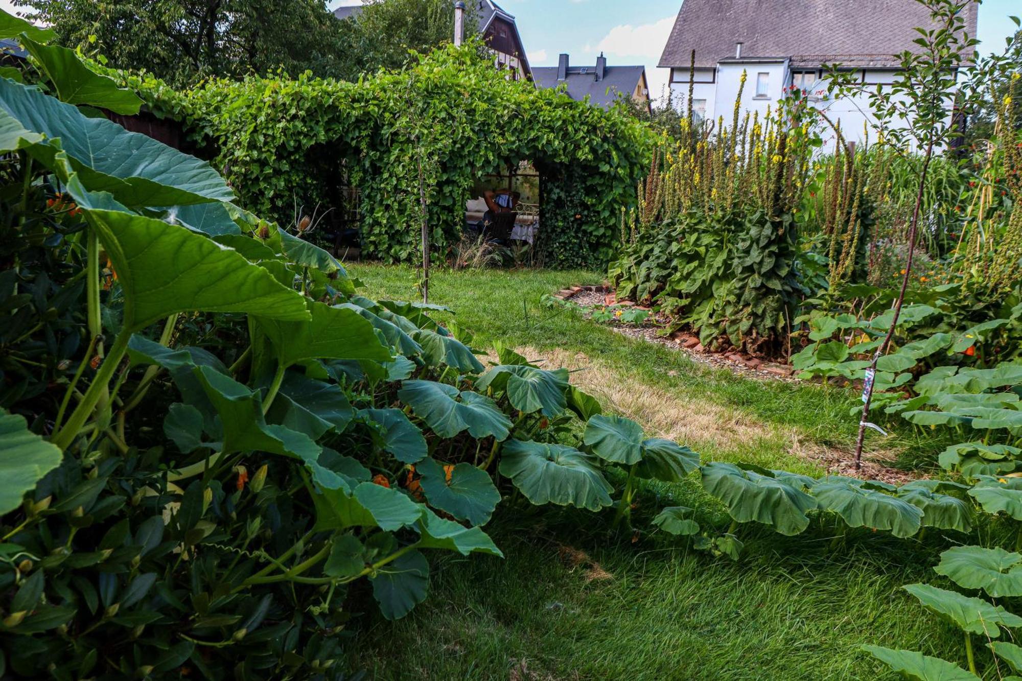 Yvette'S Ferienwohnung Lugau Zewnętrze zdjęcie